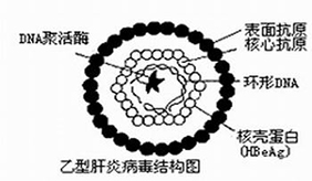 &#20048;&#31454;&#23448;&#32593;&#45;&#20048;&#31454;&#40;&#20013;&#22269;&#41;&#19968;&#31449;&#24335;&#20307;&#32946;&#26381;&#21153;